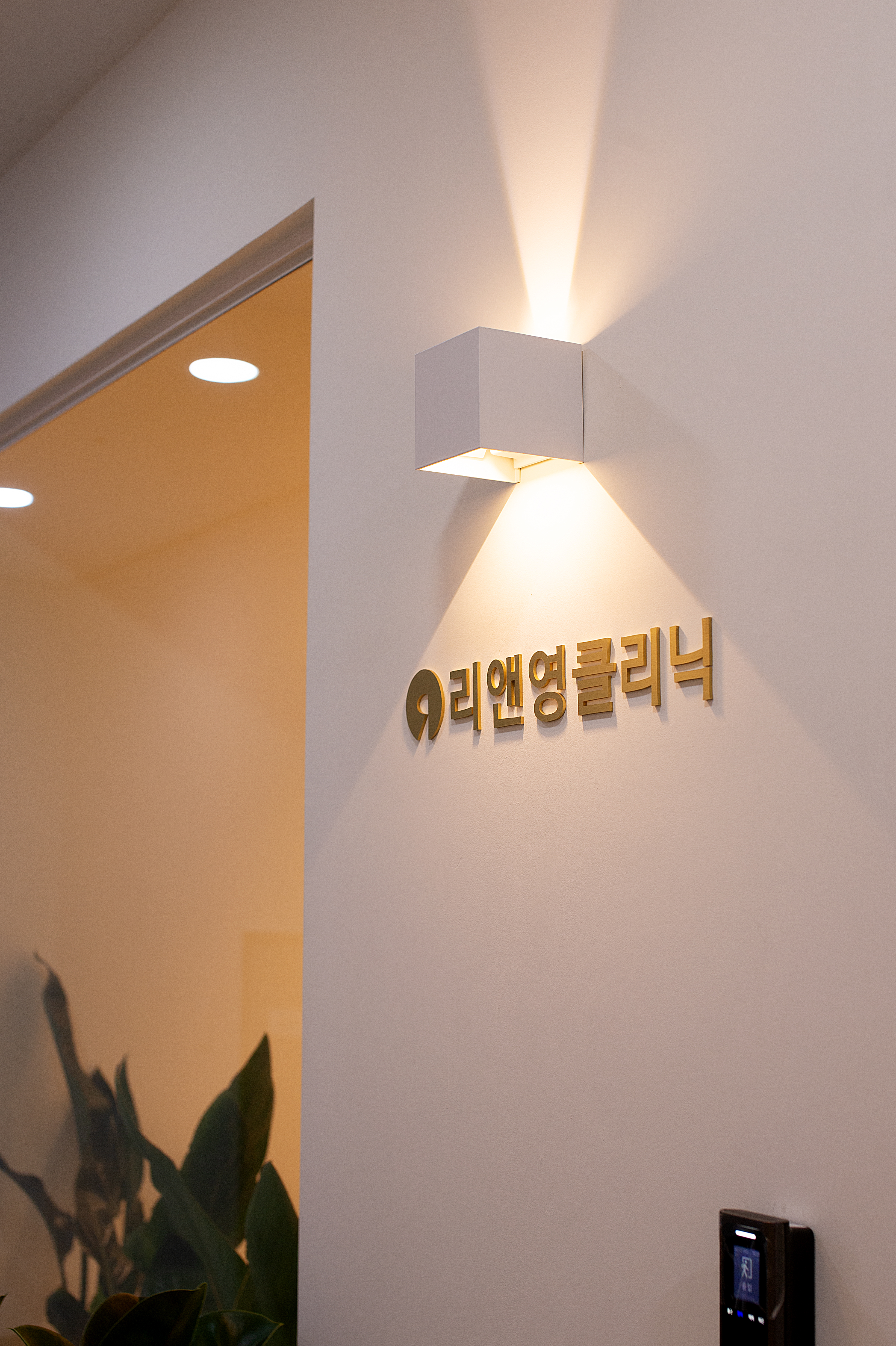 더 코나 메디스페이스 포트폴리오