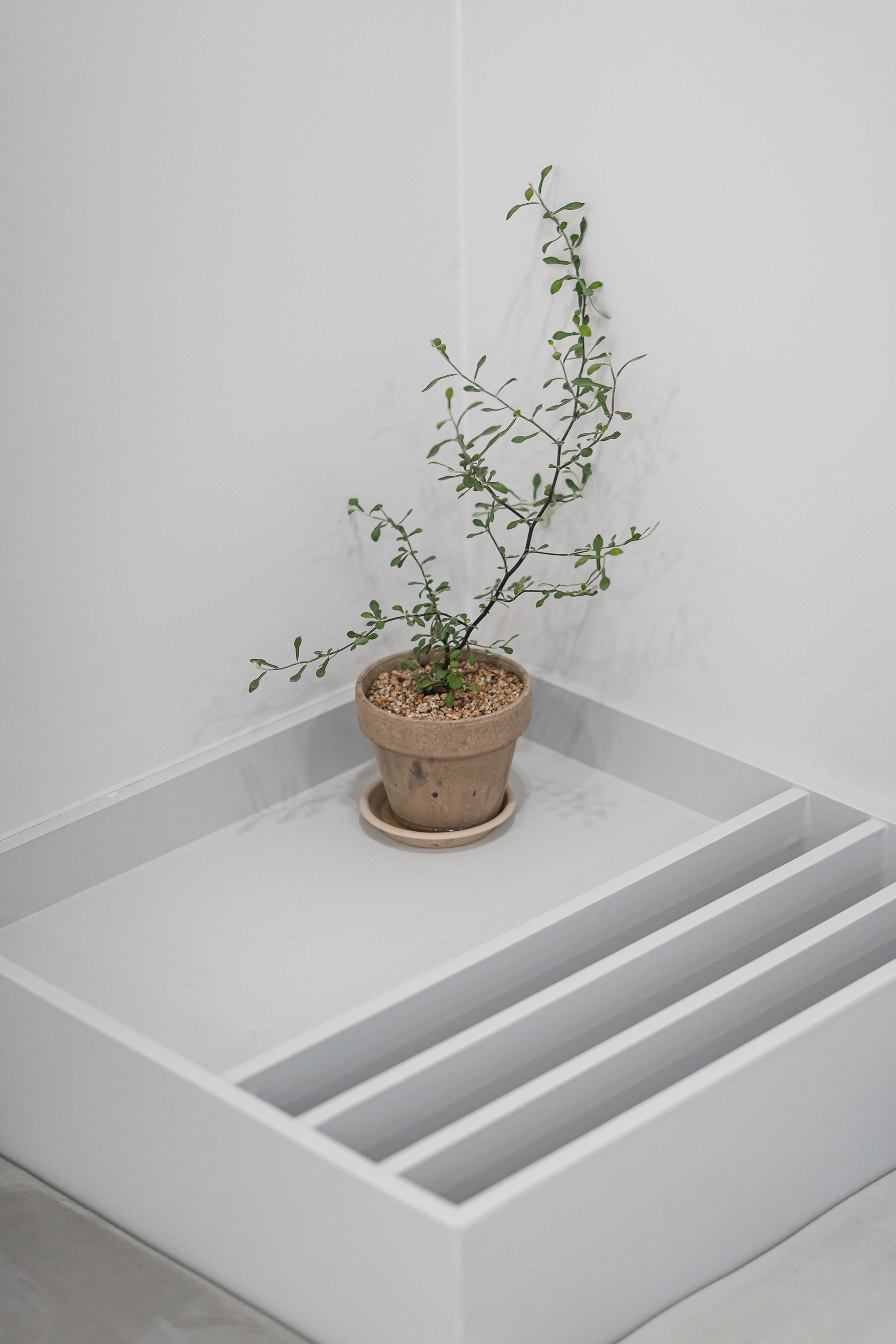 더 코나 메디스페이스 포트폴리오