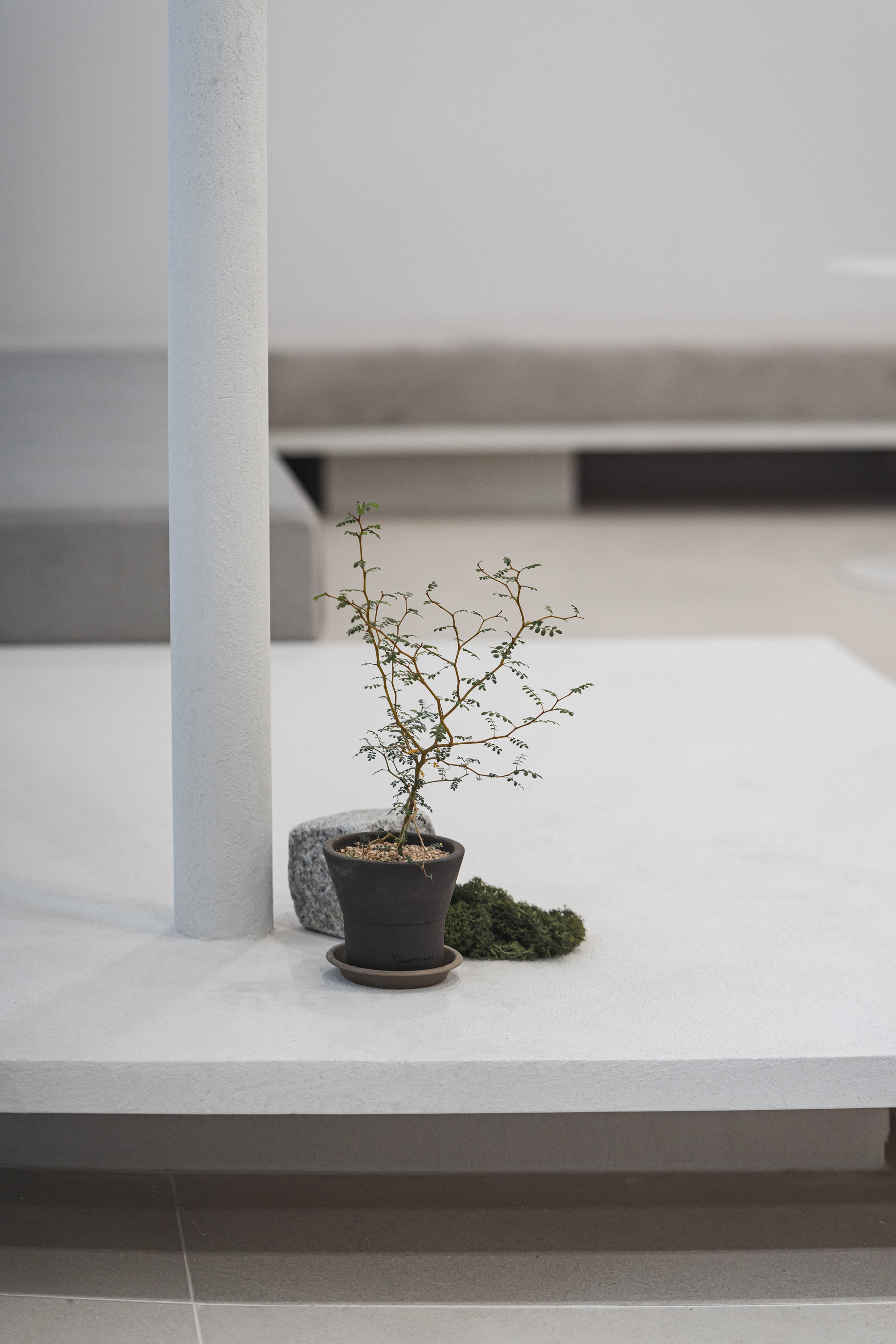 더 코나 메디스페이스 포트폴리오