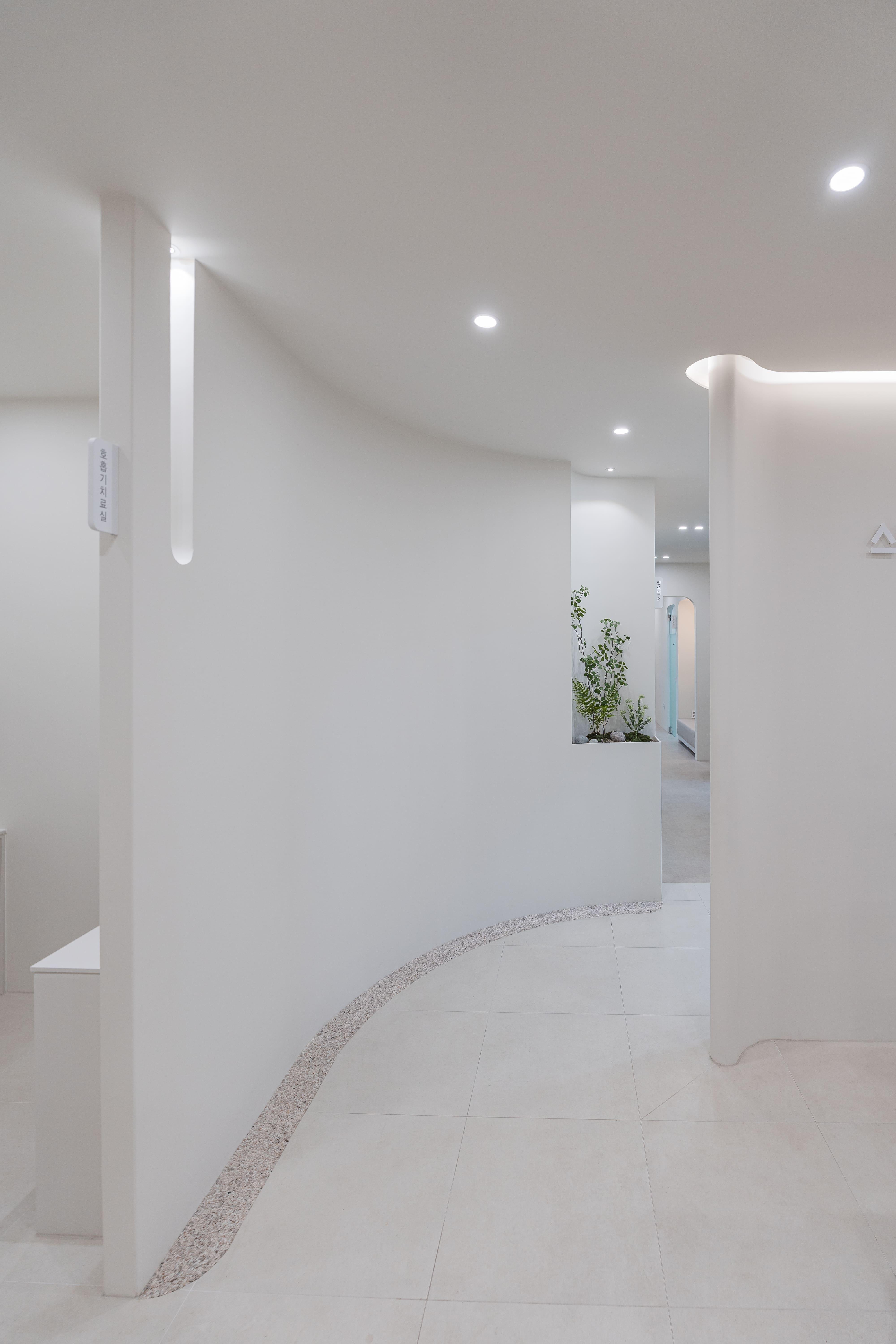 더 코나 메디스페이스 포트폴리오