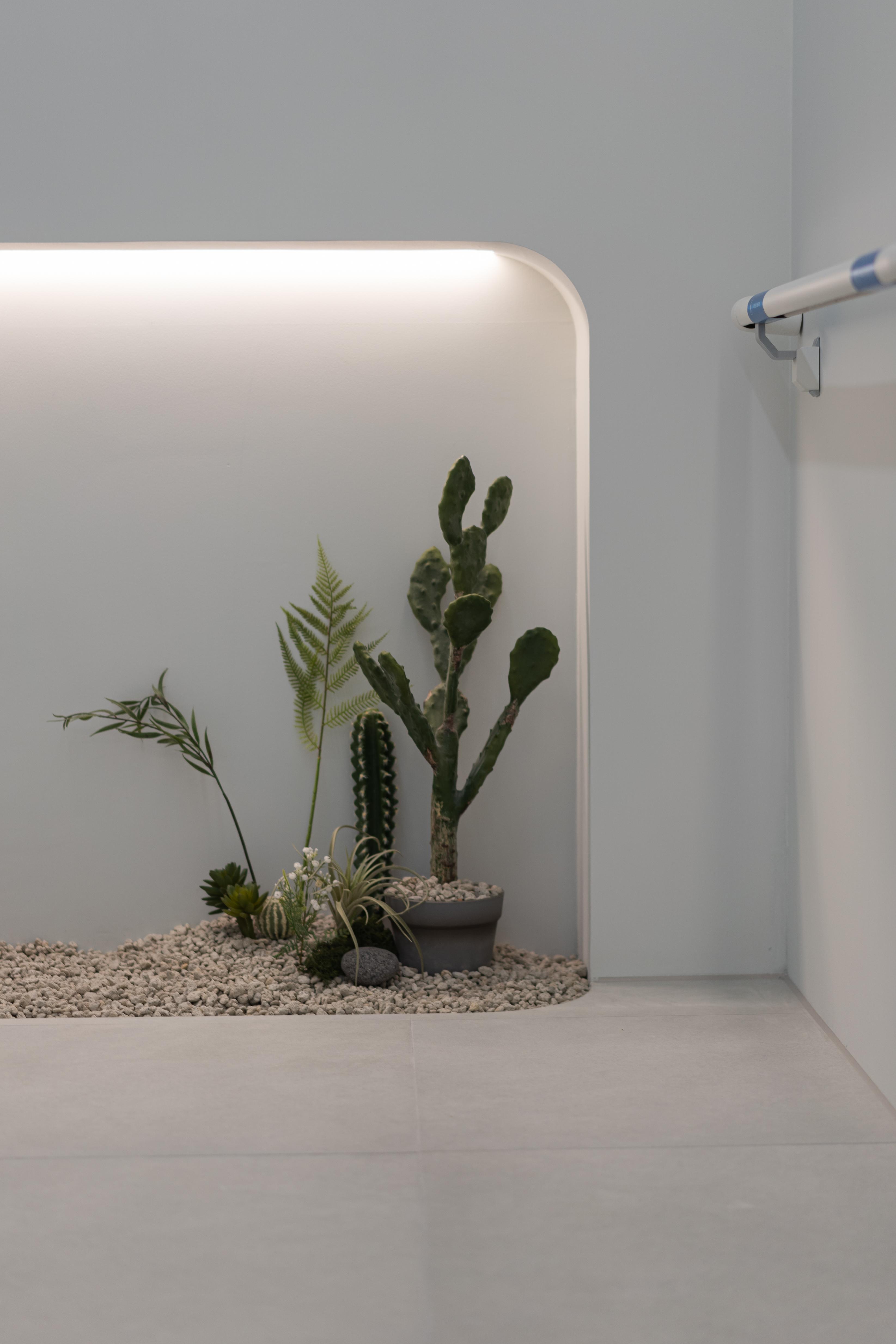 더 코나 메디스페이스 포트폴리오