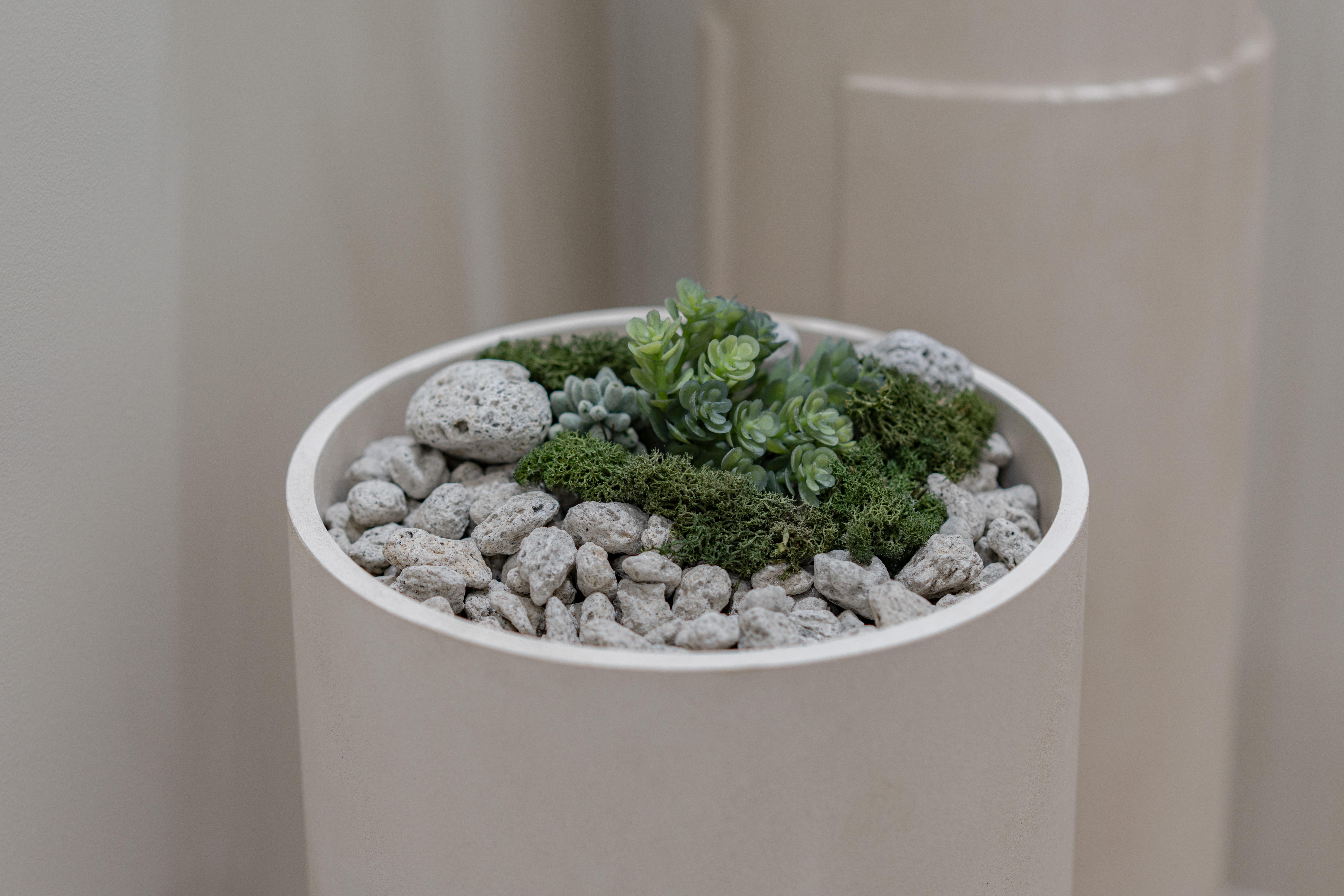 더 코나 메디스페이스 포트폴리오